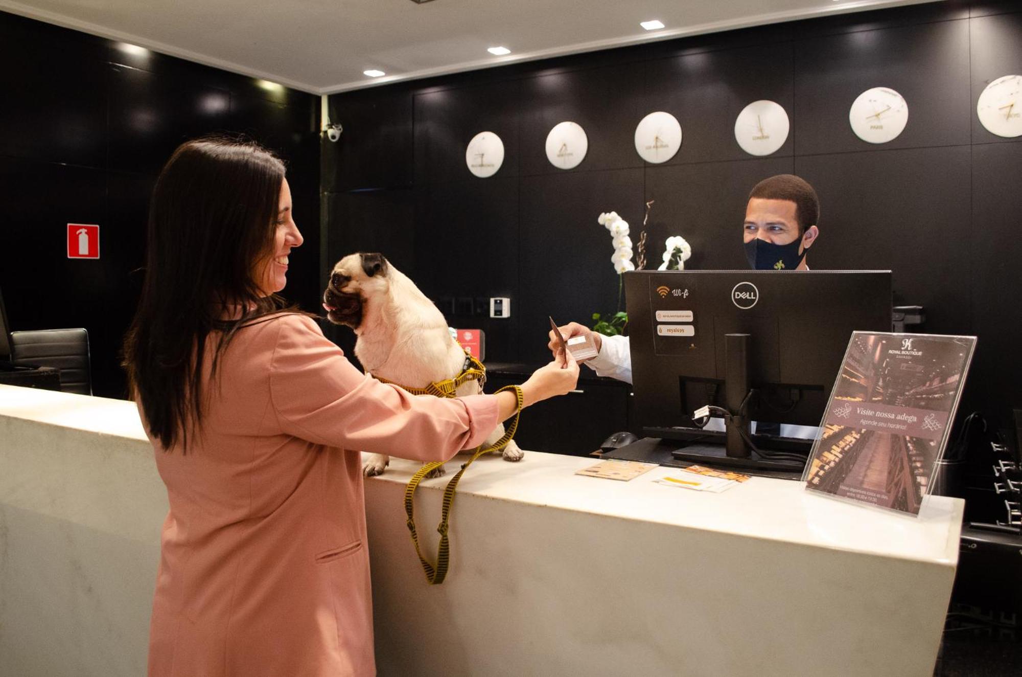 Royal Boutique Savassi Hotel Belo Horizonte Esterno foto A woman checking in at a hotel with her dog